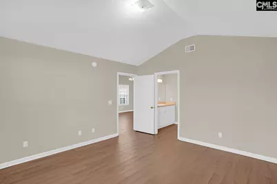 115 Merowey Court, Chapin, SC 29036 - Photo 15