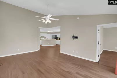 115 Merowey Court, Chapin, SC 29036 - Photo 11