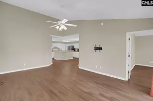 115 Merowey Ct, Chapin, SC 29036 - Photo 11