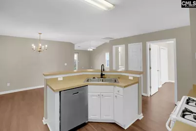 115 Merowey Court, Chapin, SC 29036 - Photo 7