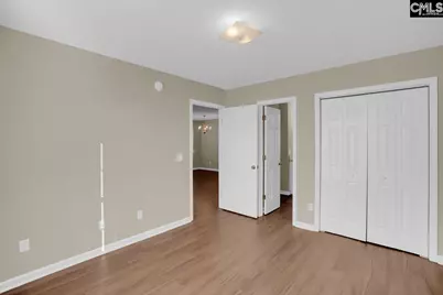 115 Merowey Court, Chapin, SC 29036 - Photo 21