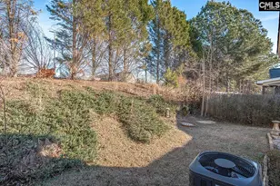 115 Merowey Ct, Chapin, SC 29036 - Photo 27