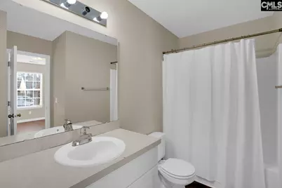 115 Merowey Court, Chapin, SC 29036 - Photo 23