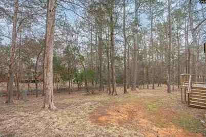 135 Firebranch Street, Columbia, SC 29212 - Photo 35
