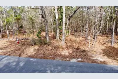 46 Timberline Drive, Camden, SC 29020 - Photo 3