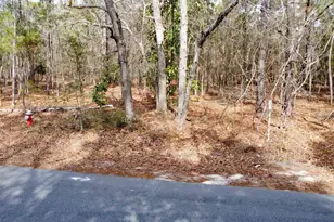 46 Timberline Dr, Camden, SC 29020 - Photo 3