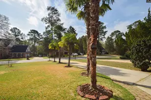 209 Doulton Way, Columbia, SC 29212 - Photo 71