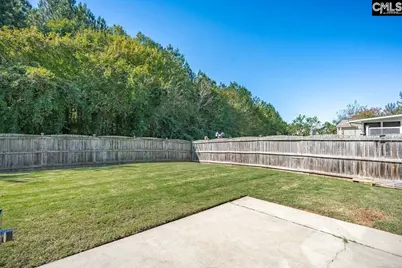 445 Crawley Lane, Chapin, SC 29036 - Photo 39