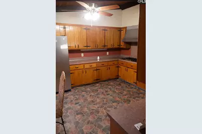 4857 Cannon Bridge Road, Cope, SC 29038 - Photo 3