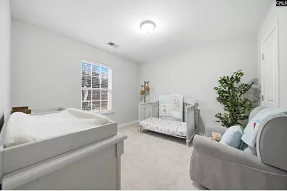 166 Flinchum Place, Lexington, SC 29073 - Photo 23