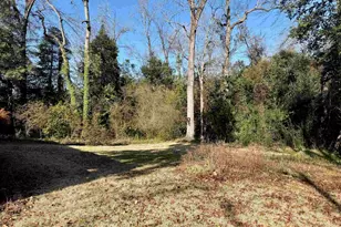 204 Darkwood Ct, Lexington, SC 29073 - Photo 7