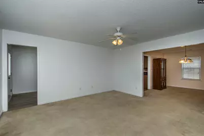 392 Eagle Pointe Drive, Chapin, SC 29036 - Photo 9