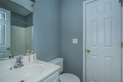 392 Eagle Pointe Drive, Chapin, SC 29036 - Photo 21