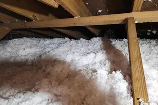 2533 Tiffany Trail, Cayce, SC 29033 - Photo 11