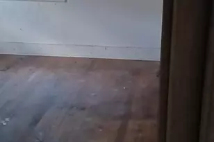 1137 Sawyer St, Orangeburg, SC 29115 - Photo 3