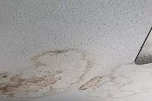 1137 Sawyer St, Orangeburg, SC 29115 - Photo 5