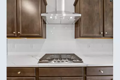 334 Murray Falls Lane, Chapin, SC 29036 - Photo 13