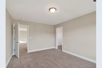 334 Murray Falls Lane, Chapin, SC 29036 - Photo 41