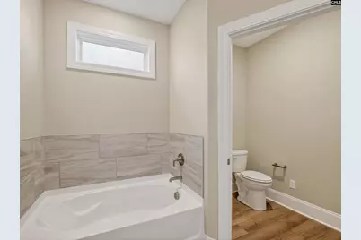 334 Murray Falls Lane, Chapin, SC 29036 - Photo 25