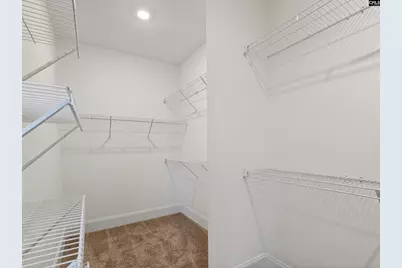 334 Murray Falls Lane, Chapin, SC 29036 - Photo 23