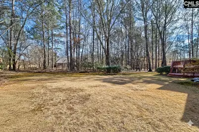 1009 Steeple Ridge Road, Irmo, SC 29063 - Photo 3