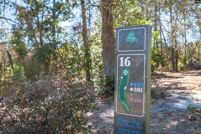 205 Woodlands Ridge Road, Columbia, SC 29229 - Photo 55