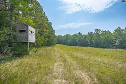637 Belfast Road, Newberry, SC 29108 - Photo 9