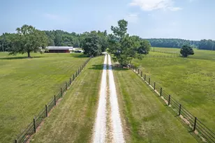 637 Belfast Rd, Newberry, SC 29108 - Photo 25