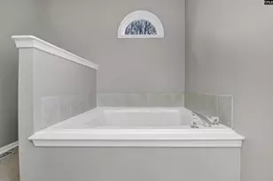 24 Marabou Ct, Irmo, SC 29063 - Photo 19