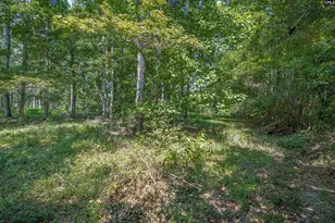 114 Mallard Landing Way, Columbia, SC 29209 - Photo 31