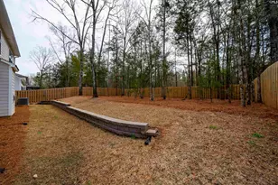 143 Collins Cv Dr, Chapin, SC 29036 - Photo 41