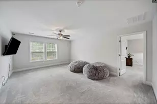 143 Collins Cv Dr, Chapin, SC 29036 - Photo 21