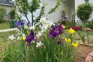 1017 Aderley Oak Dr, Irmo, SC 29063 - Photo 49