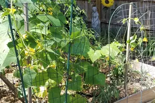 1017 Aderley Oak Dr, Irmo, SC 29063 - Photo 51