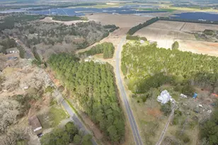 785 Lone Star Rd, Cameron, SC 29030 - Photo 63