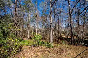 6 Gidding Ct, Irmo, SC 29063 - Photo 41