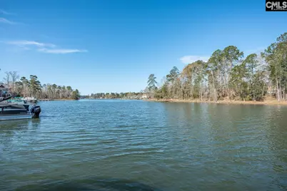 180 Palm Street, Chapin, SC 29036 - Photo 5