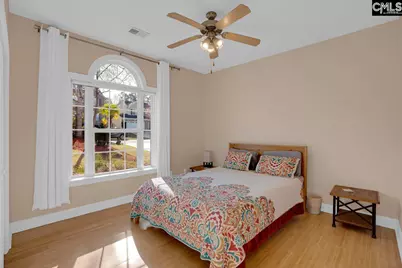 180 Palm Street, Chapin, SC 29036 - Photo 29