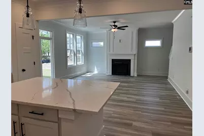 3037 Hanging Valley Road, Blythewood, SC 29016 - Photo 9