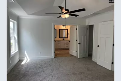 3037 Hanging Valley Road, Blythewood, SC 29016 - Photo 19