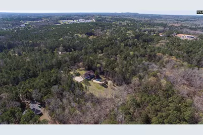 141 Eagle Chase Court, Chapin, SC 29036 - Photo 25