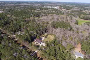 141 Eagle Chase Ct, Chapin, SC 29036 - Photo 27