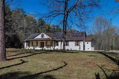 141 Eagle Chase Court, Chapin, SC 29036 - Photo 3