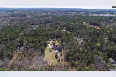 141 Eagle Chase Court, Chapin, SC 29036 - Photo 23