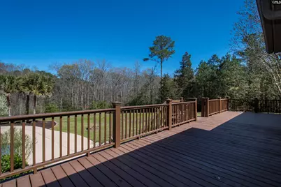 141 Eagle Chase Court, Chapin, SC 29036 - Photo 73