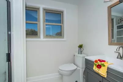 141 Eagle Chase Court, Chapin, SC 29036 - Photo 71