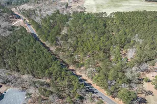 0 Windy Rd, Gilbert, SC 29054 - Photo 9