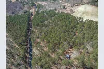 0 Windy Road, Gilbert, SC 29054 - Photo 11