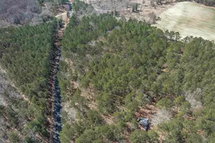 0 Windy Rd, Gilbert, SC 29054 - Photo 11