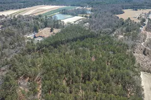 0 Windy Rd, Gilbert, SC 29054 - Photo 13